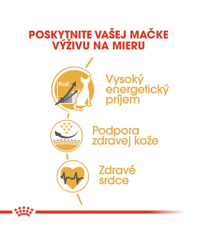 ROYAL CANIN Sphynx Adult 400g granule pre sphynx mačky