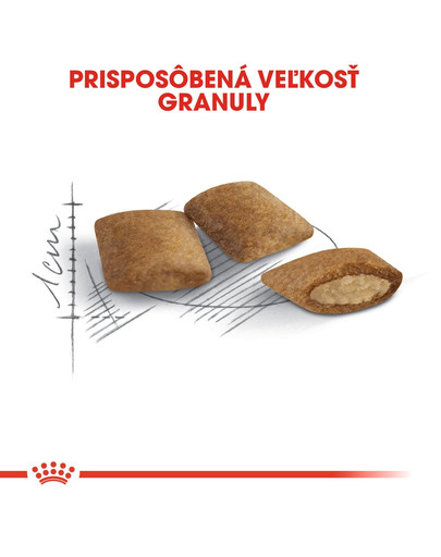 ROYAL CANIN Ageing 12+ granule pre staré mačky 2kg