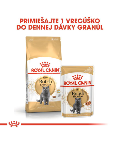 ROYAL CANIN British Shorthair Gravy 12x85g kapsička pre britské krátkosrsté mačky v šťave