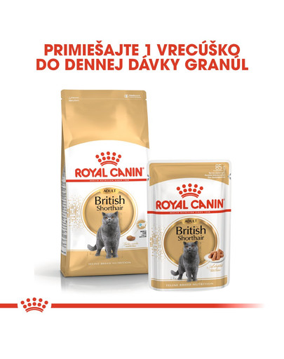 ROYAL CANIN British Shorthair Adult 10kg granule pre dospelé britské krátkosrsté mačky