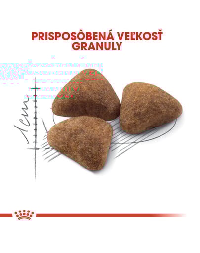 ROYAL CANIN Indoor 400g granule pre dospelé mačky chované v byte