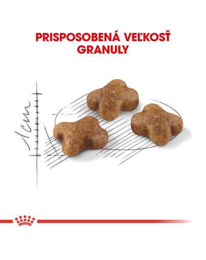 ROYAL CANIN Kitten 2kg