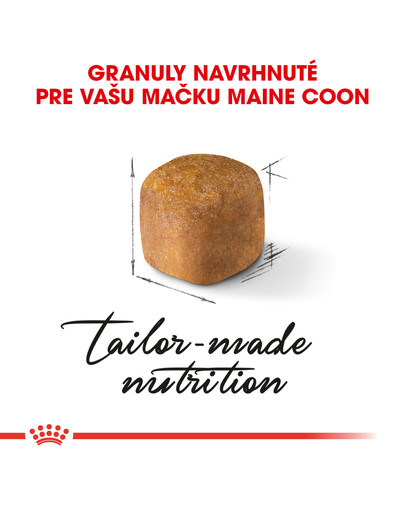 ROYAL CANIN Maine Coon Kitten 4kg granule pre mainské mývalie mačiatka