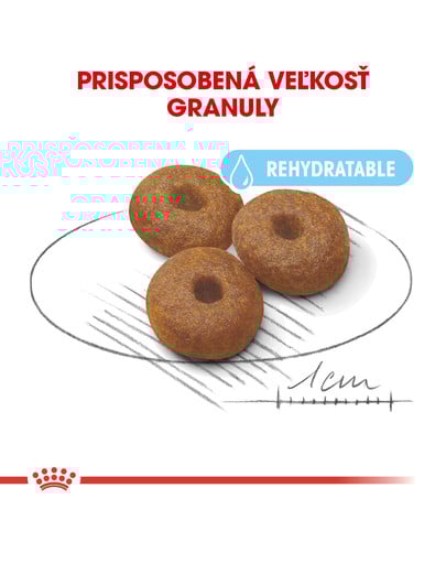 ROYAL CANIN Maxi Starter Mother & Babydog 15kg granule pre brezivé alebo dojčiace suky a šteňatá