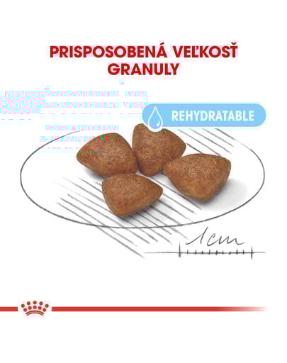 ROYAL CANIN Mini Starter Mother & Babydog 8,5kg granule pre brezivé alebo dojčiace suky a šteňatá