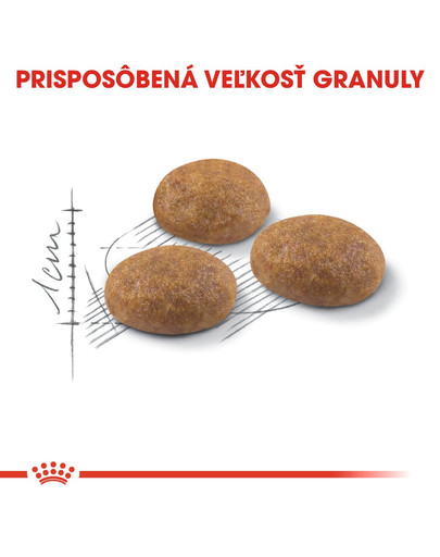 ROYAL CANIN Outdoor 4kg granule pre mačky s častým pohybom vonku