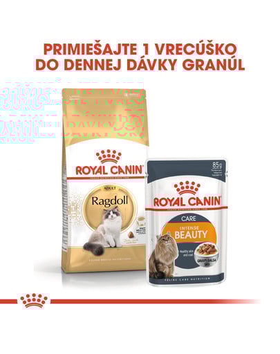 ROYAL CANIN Ragdoll Adult 10kg granule pre ragdoll mačky