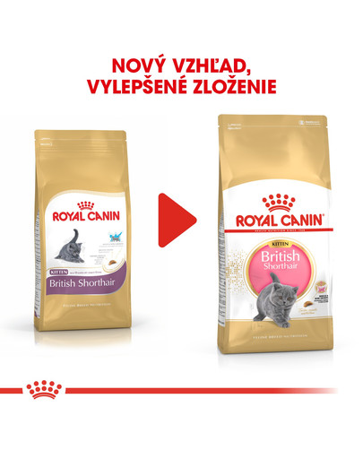 ROYAL CANIN British Shorthair Kitten 10kg granule pre britské krátkosrsté mačiatka