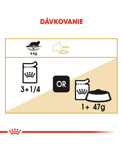 ROYAL CANIN Maine Coon Loaf 85g  kapsička s paštétou pre mainskú mývaliu mačku