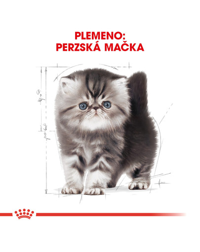 ROYAL CANIN Persian Kitten 2 kg granule pre perzské mačiatka