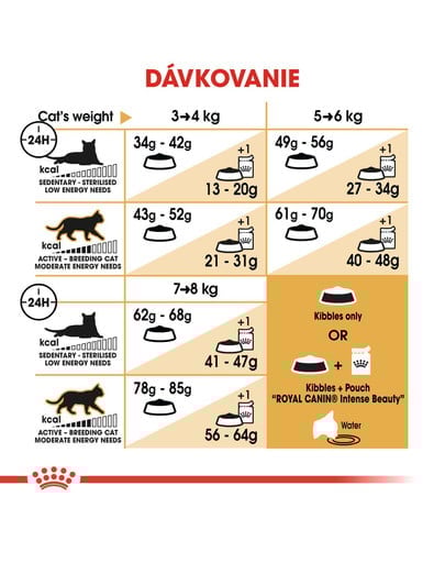 ROYAL CANIN Ragdoll Adult 10kg granule pre ragdoll mačky