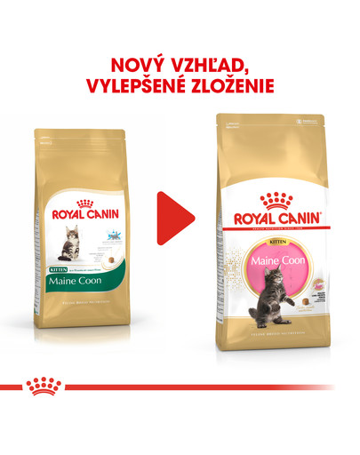 ROYAL CANIN Maine Coon Kitten 4kg granule pre mainské mývalie mačiatka