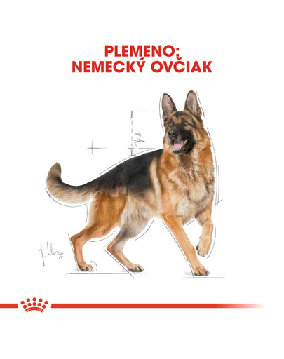 ROYAL CANIN German Shepherd Adult 3 kg granule pre dospelého nemeckého ovčiaka