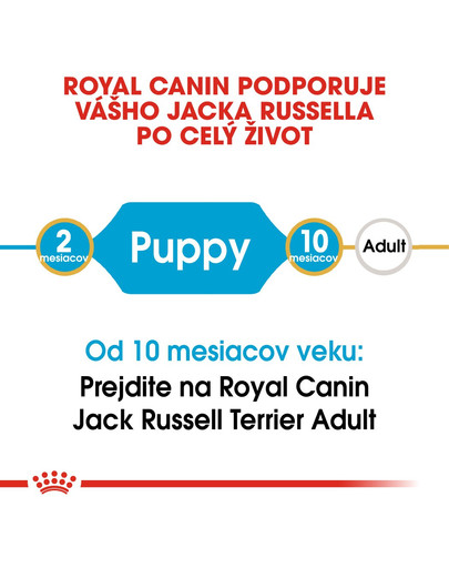ROYAL CANIN Jack Russell Puppy 3 kg granule pre šteňa jack russell teriéra