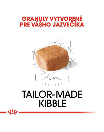 ROYAL CANIN Dachshund Puppy 1,5 kg granule pre šteňa jazvečíka