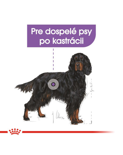 ROYAL CANIN Maxi Sterilised 12 kg granule pro kastrované psy
