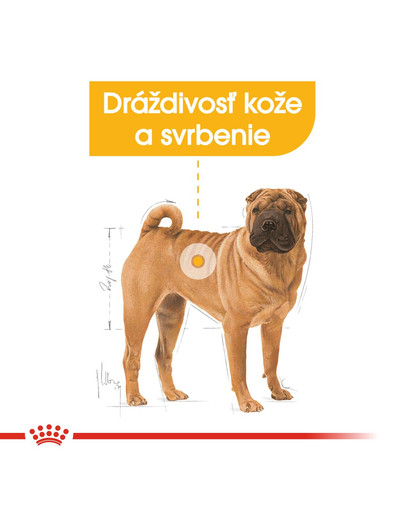 ROYAL CANIN Medium Dermacomfort 10 kg granule pre stredné psy s problémami s kožou a srsťou