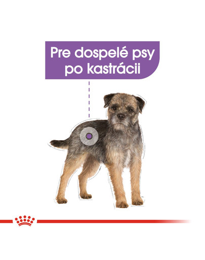 ROYAL CANIN Mini Sterilised 8kg granule pre kastrované malé psy