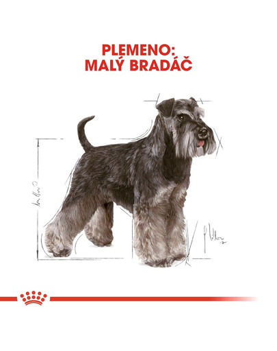 ROYAL CANIN Schnauzer Adult 500g granule pre dospelého bradáča