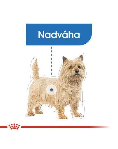 ROYAL CANIN Mini Light Weight Care 8kg granule pre dospelých psov malých plemien so sklonom k nadváhe