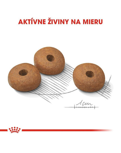 ROYAL CANIN Mini Light Weight Care 8kg granule pre dospelých psov malých plemien so sklonom k nadváhe