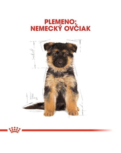ROYAL CANIN German Shepherd Puppy 12 kg granule pre šteňa nemeckého ovčiaka do 15 mesiacov