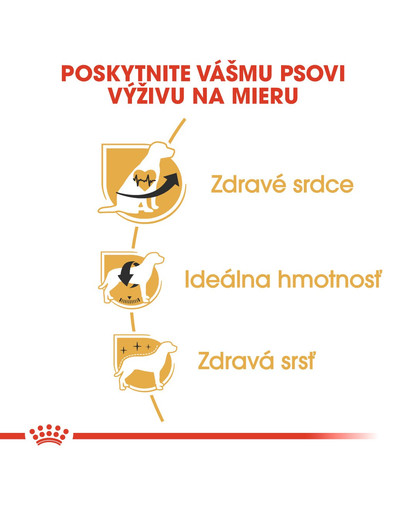 ROYAL CANIN Cavalier King Charles Adult 1,5 kg granule pre dospelého gavalier španiela