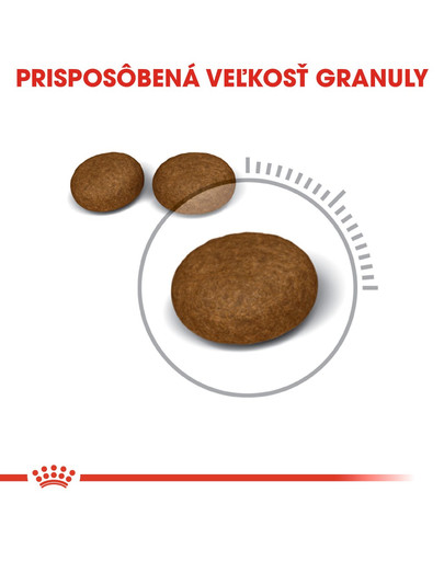 ROYAL CANIN Hair And Skin Care 4kg granule pre mačky pre zdravú kožu a srsť