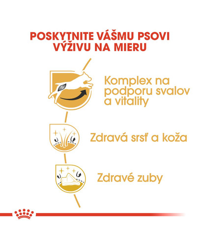 ROYAL CANIN Jack Russell Adult 7,5 kg granule pre dospelého jack russell teriéra