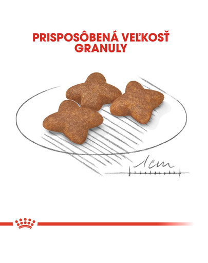 ROYAL CANIN Mini Adult 8kg