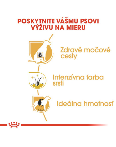 ROYAL CANIN Schnauzer Adult 500g granule pre dospelého bradáča