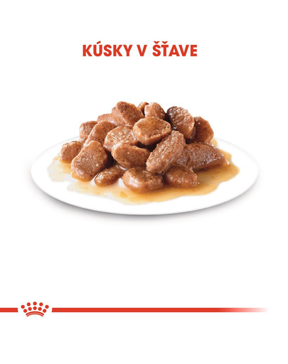 ROYAL CANIN Sterilised Gravy 12x85g