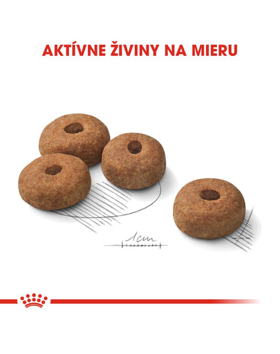 ROYAL CANIN Maxi Sterilised 12 kg granule pro kastrované psy