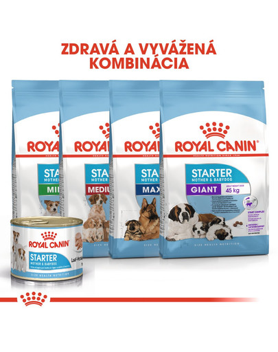 ROYAL CANIN Starter Mousse 195g konzerva pre brezivé alebo dojčace suky a šteňatá