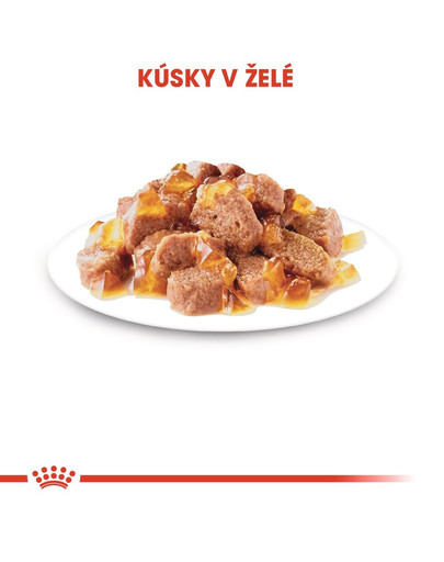 ROYAL CANIN Ultra Light Jelly 12x85g