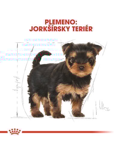 ROYAL CANIN Yorkshire Puppy 500g granule pre šteňa jorkšíra
