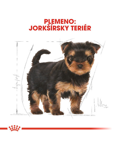 ROYAL CANIN Yorkshire Puppy 1.5 kg granule pre šteňa jorkšíra