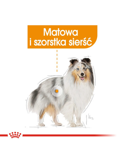 ROYAL CANIN Mini coat care 3 kg
