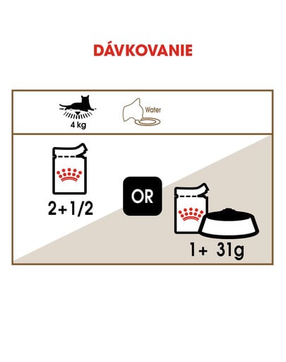 ROYAL CANIN Ageing +12 Jelly 12x85g kapsička pre staré mačky v želé