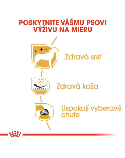 ROYAL CANIN Westie Adult 1,5 kg granule pre dospelého westhinghlandského bieleho teriéra
