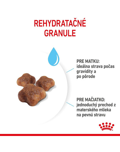 ROYAL CANIN Mother&Babycat granule pre gravidné alebo dojčiace mačky a mačiatka od 1 do 4 mesiacov 4 kg