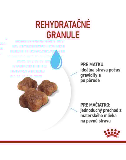 ROYAL CANIN Mother&Babycat granule pre gravidné alebo dojčiace mačky a mačiatka od 1 do 4 mesiacov 400 g