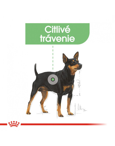 ROYAL CANIN Digestive Care Dog Loaf 85g x12
