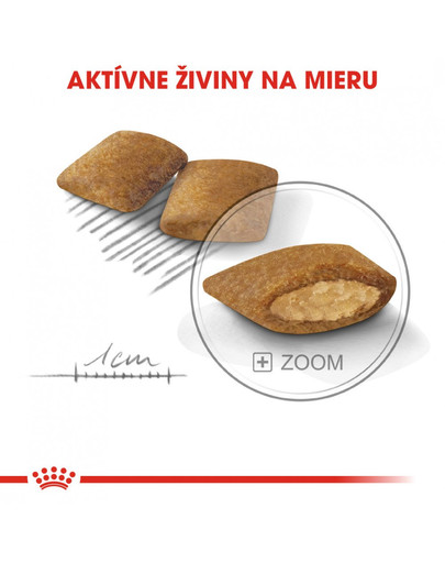 ROYAL CANIN Mini exigent 1 kg granuly pre maškrtné malé psy