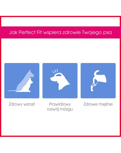 PERFECT FIT Junior (<1 rok) pre stredné a veľké rasy - Bohaté na kuracie mäso 1.4 kg