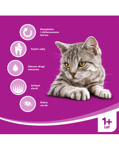 WHISKAS Adult hovädzie 1.4kg