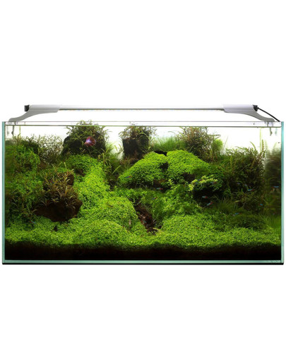 AQUAEL Leddy Slim 10W Sunny 50-70 cm