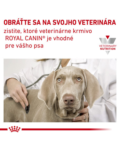 ROYAL CANIN Dog skin support dog 7 kg