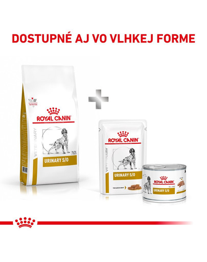 ROYAL CANIN Veterinary Diet Dog Urinary S/O 14 kg