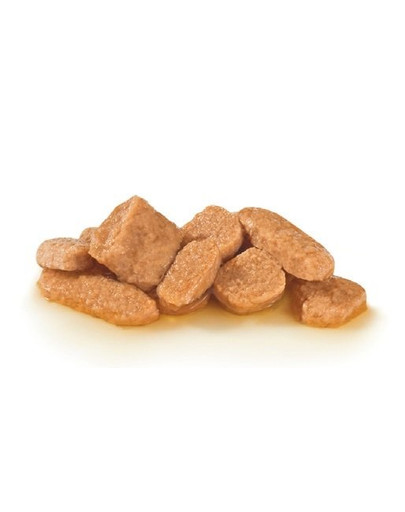 ROYAL CANIN Cat senior consult stage 2 kapsička 100 g